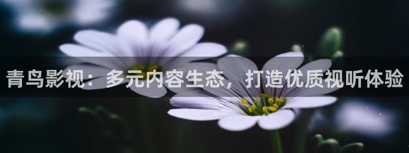 超碰69在线视频：青鸟影视：多元内容生态，打造优质视听体验