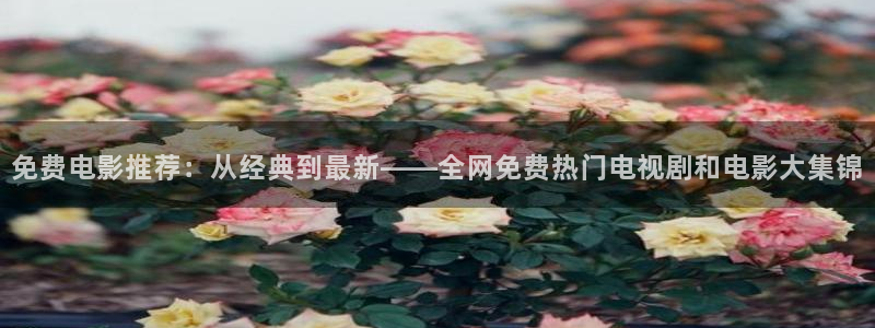 超碰国语在线：免费电影推荐：从经典到最新——全网免费热门电视剧和电影大集锦