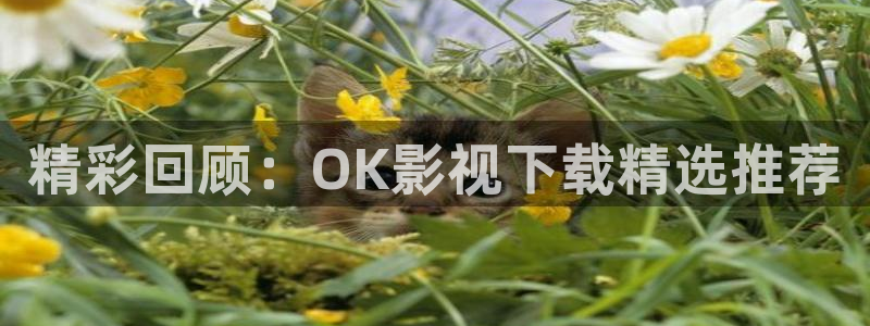 超碰在线成年人：精彩回顾：OK影视下载精选推荐