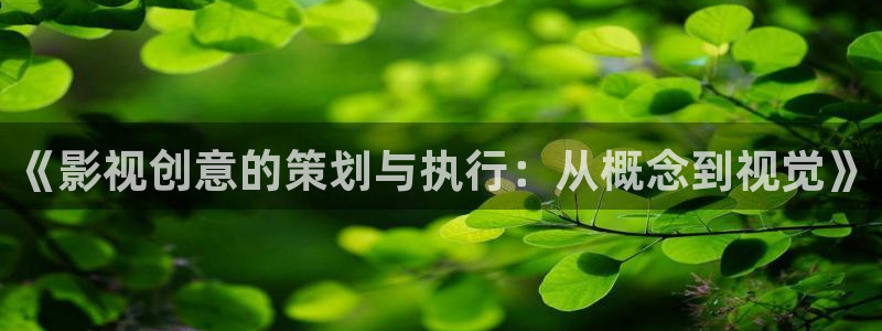 超碰在线视频网站：《影视创意的策划与执行：从概念到视觉》