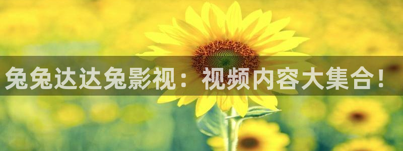 国产超碰在线视频：兔兔达达兔影视：视频内容大集合！